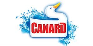 Canard