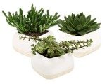 Code promo Interflora
