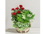 Code promo Interflora