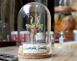 Code promo Etsy