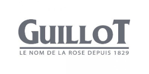 Roses Guillot